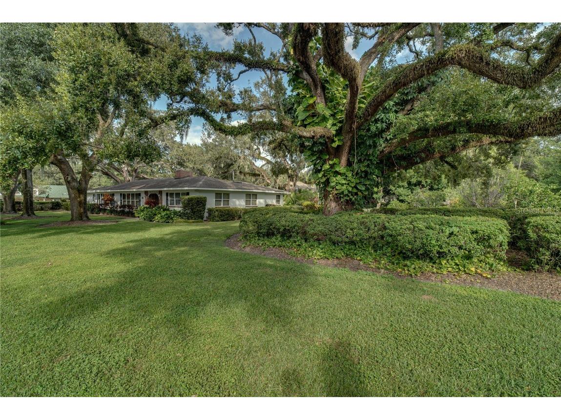 241 N Dillard Street Winter Garden FL 34787 O6353975 image45