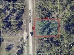 241 Nancy Avenue S Lehigh Acres FL 33974 C7494356 image2