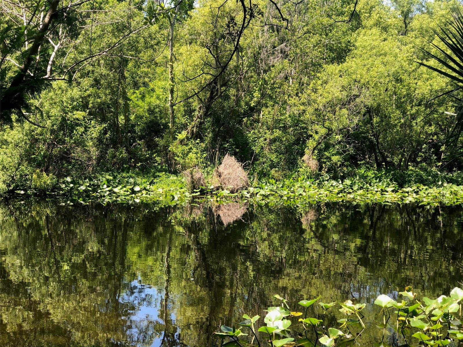241 Nova Drive Sanford FL 32771 - WEKIVA RIVER O6395942 image1