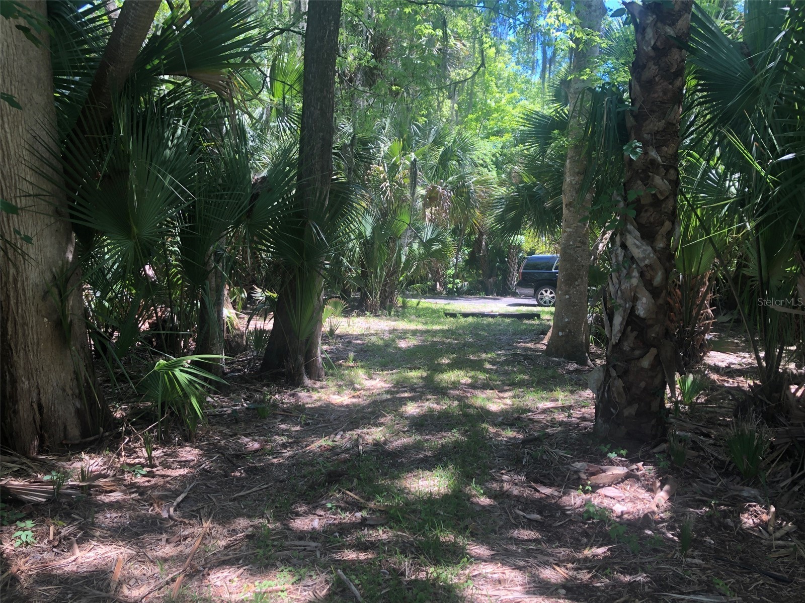 241 Nova Drive Sanford FL 32771 - WEKIVA RIVER O6395942 image10