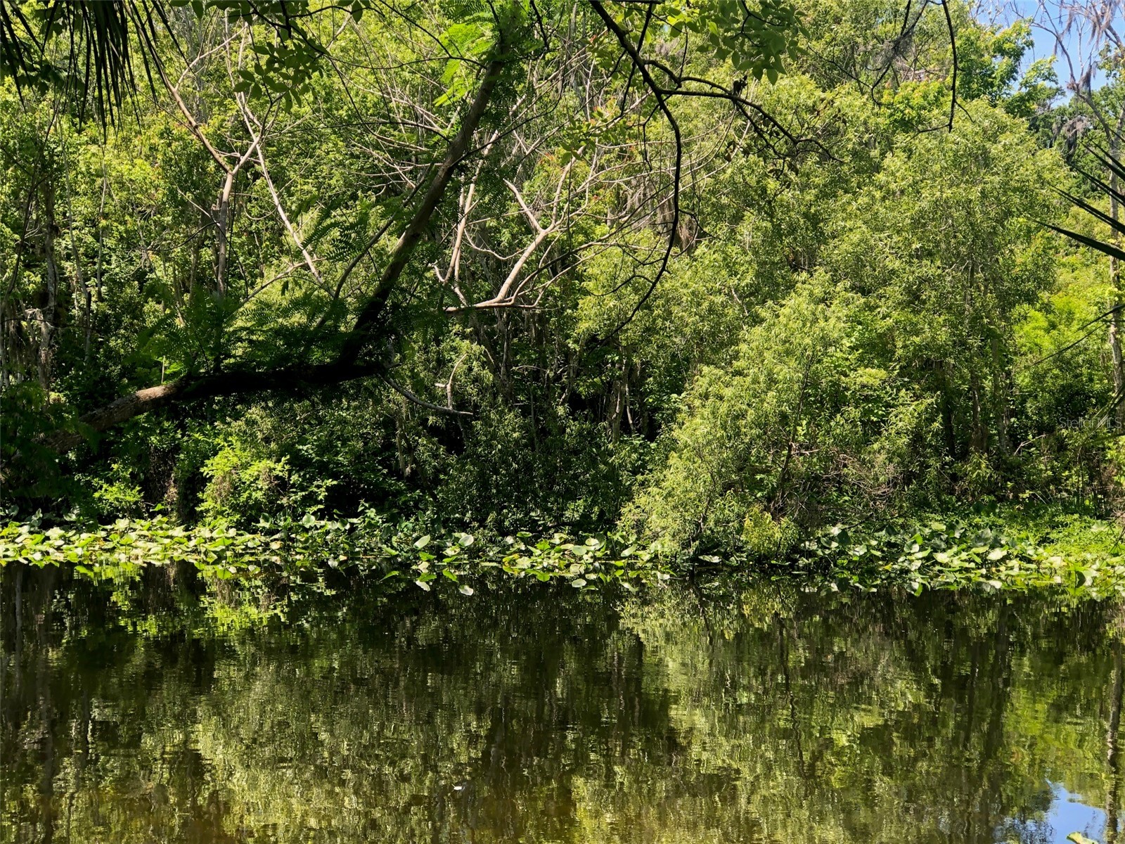 241 Nova Drive Sanford FL 32771 - WEKIVA RIVER O6395942 image12
