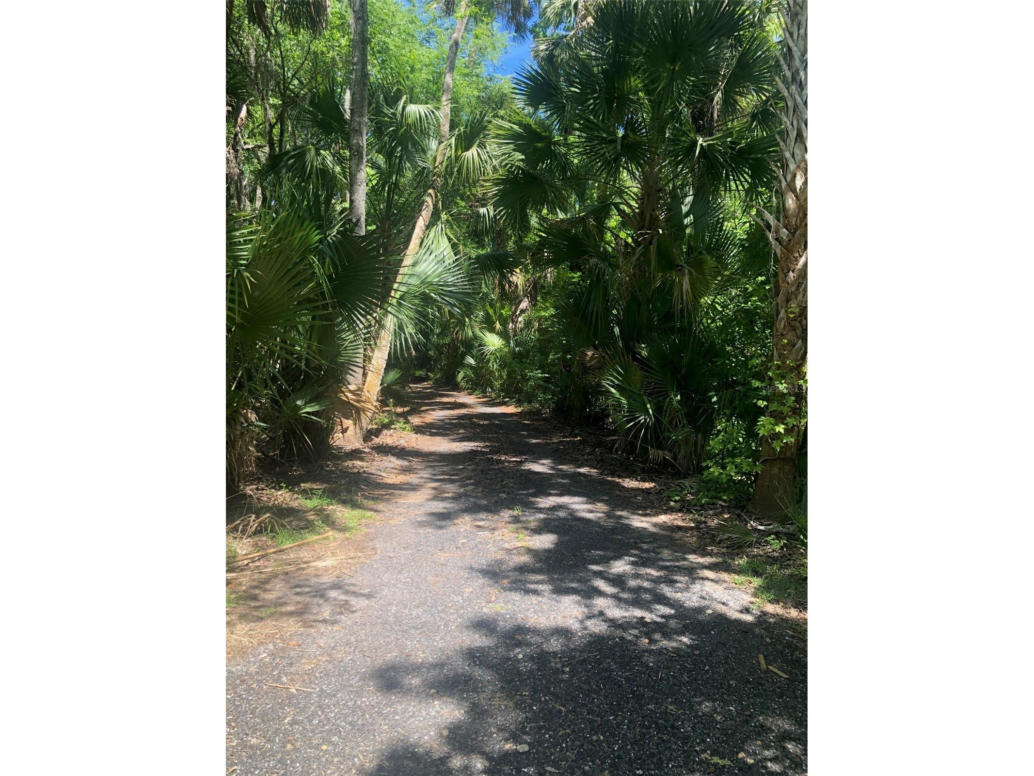 241 Nova Drive Sanford FL 32771 - WEKIVA RIVER O6395942 image13