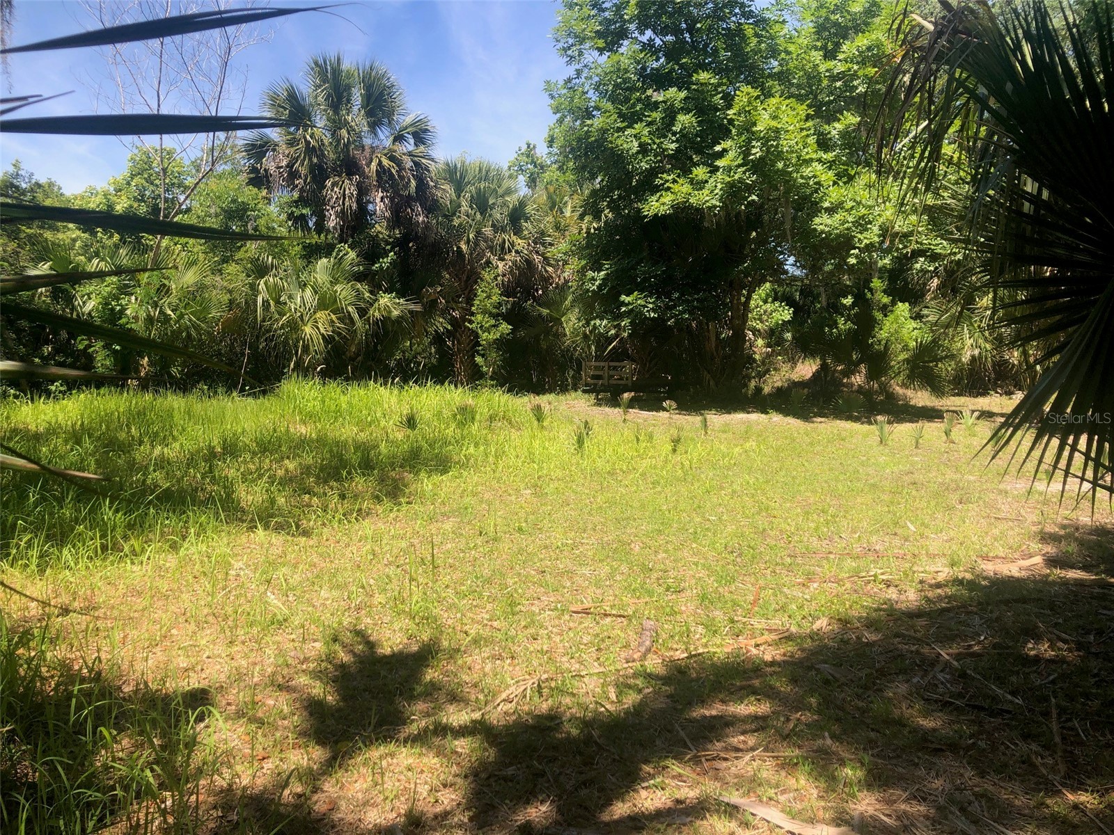 241 Nova Drive Sanford FL 32771 - WEKIVA RIVER O6395942 image3