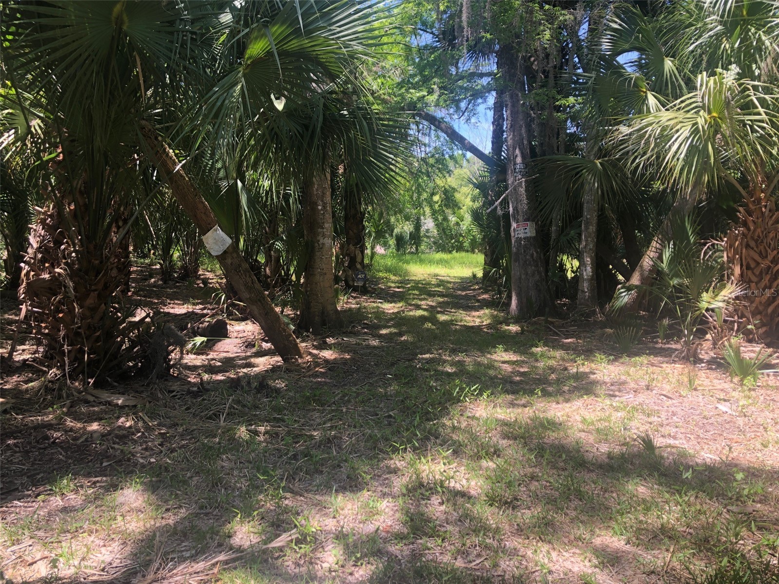 241 Nova Drive Sanford FL 32771 - WEKIVA RIVER O6395942 image4