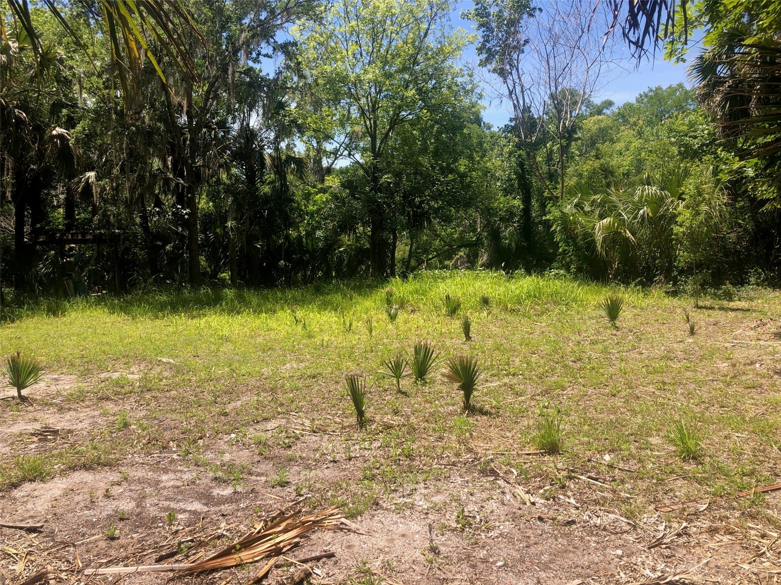 241 Nova Drive Sanford FL 32771 - WEKIVA RIVER O6395942 image5