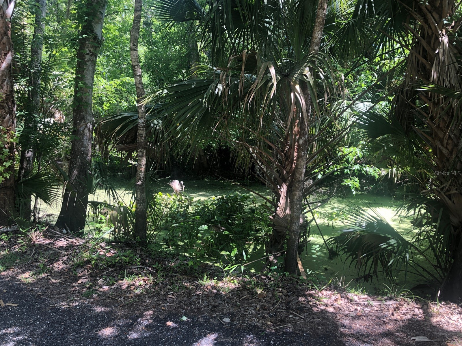 241 Nova Drive Sanford FL 32771 - WEKIVA RIVER O6395942 image7