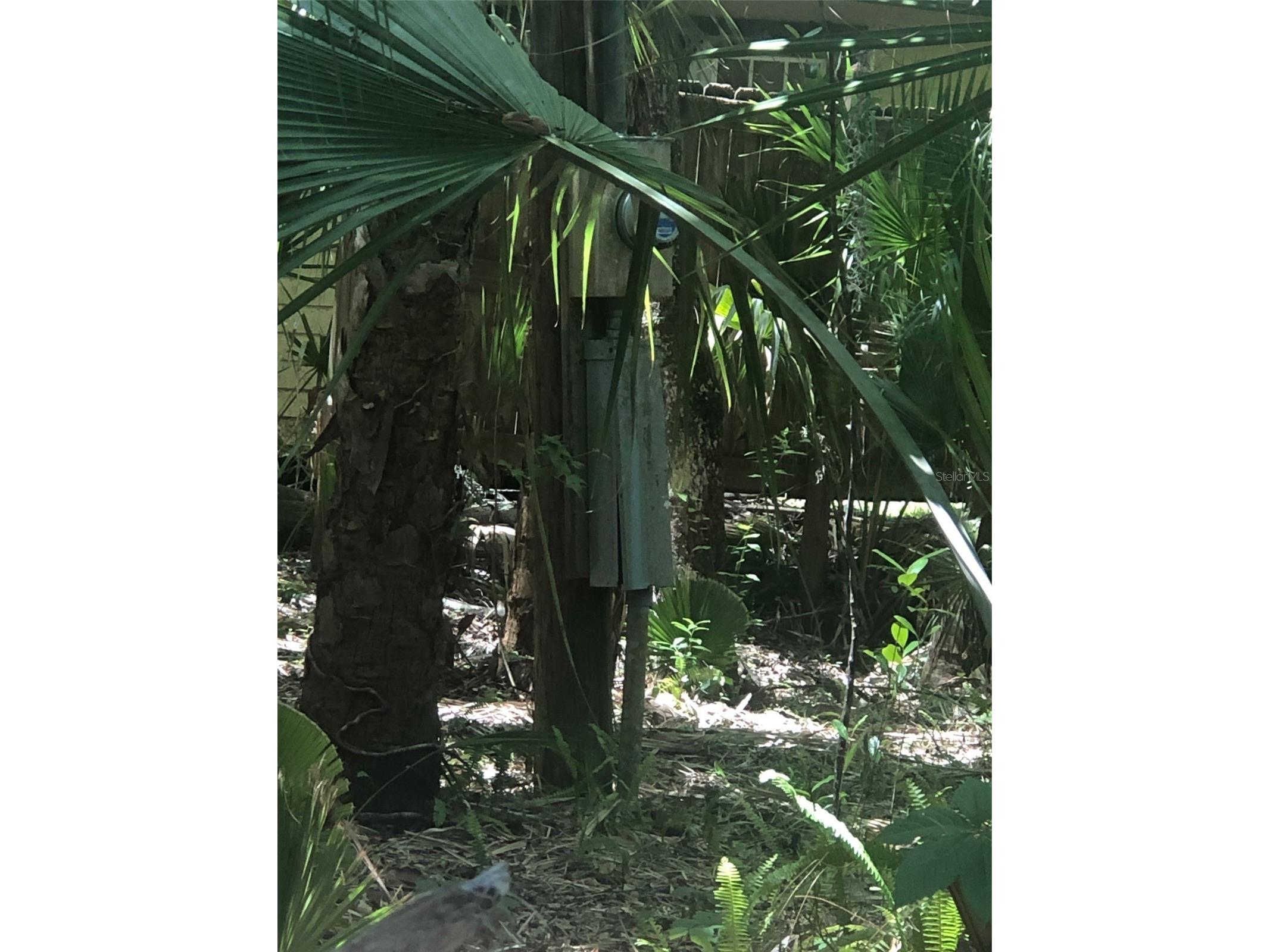 241 Nova Drive Sanford FL 32771 - WEKIVA RIVER O6395942 image8