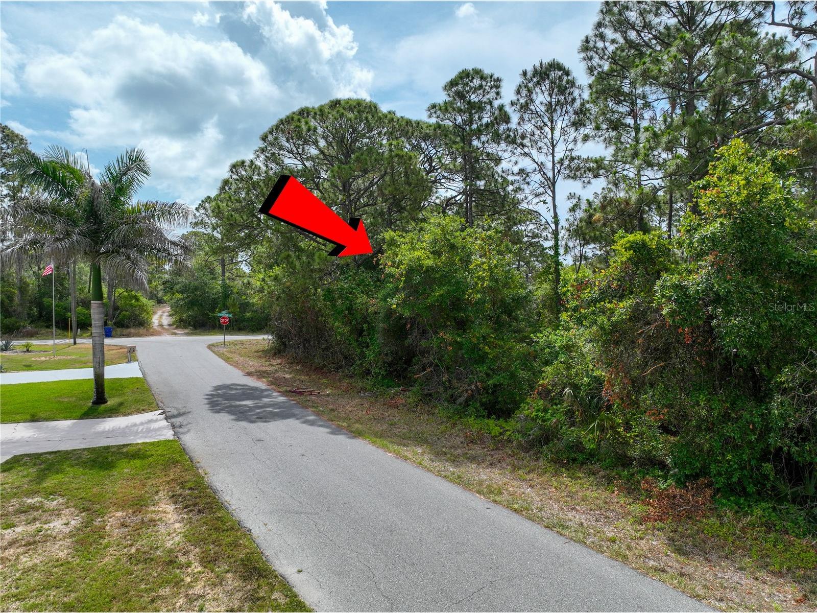 241 Phantasy Avenue Lake Placid FL 33852 O6404967 image5