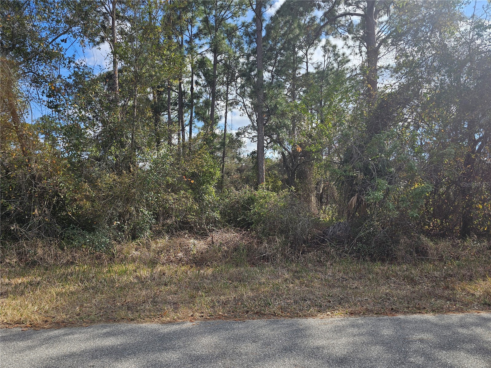 241 Phantasy Avenue Lake Placid FL 33852 P4937865 image1