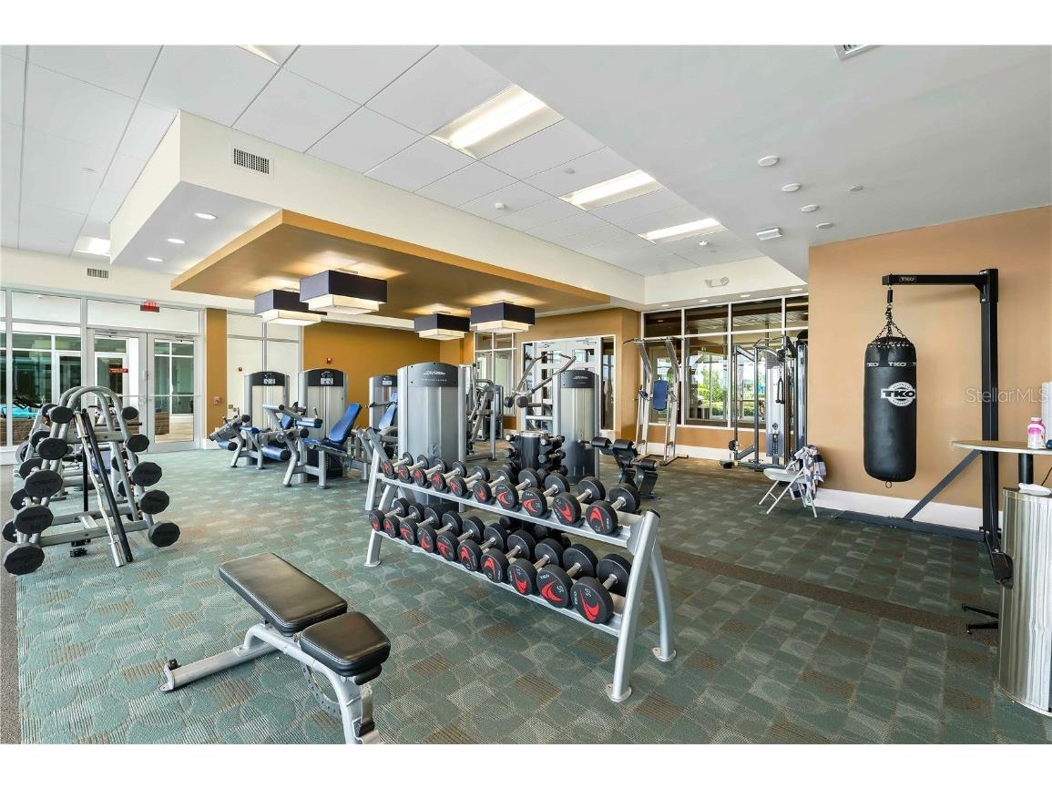 241 Riverside Drive #1909 Daytona Beach FL 32117 V4941969 image45