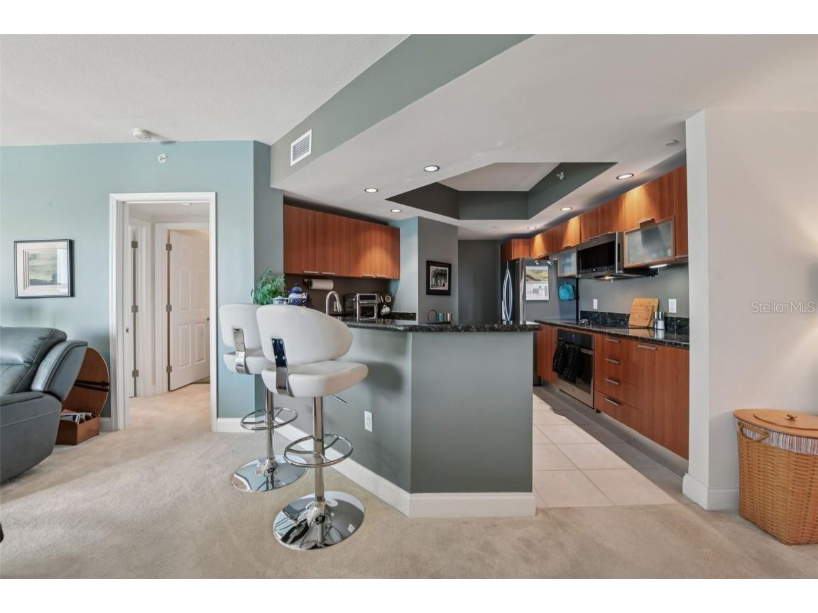 241 Riverside Drive #305 Daytona Beach FL 32117 - HALIFAX RIVER TB8435440 image7