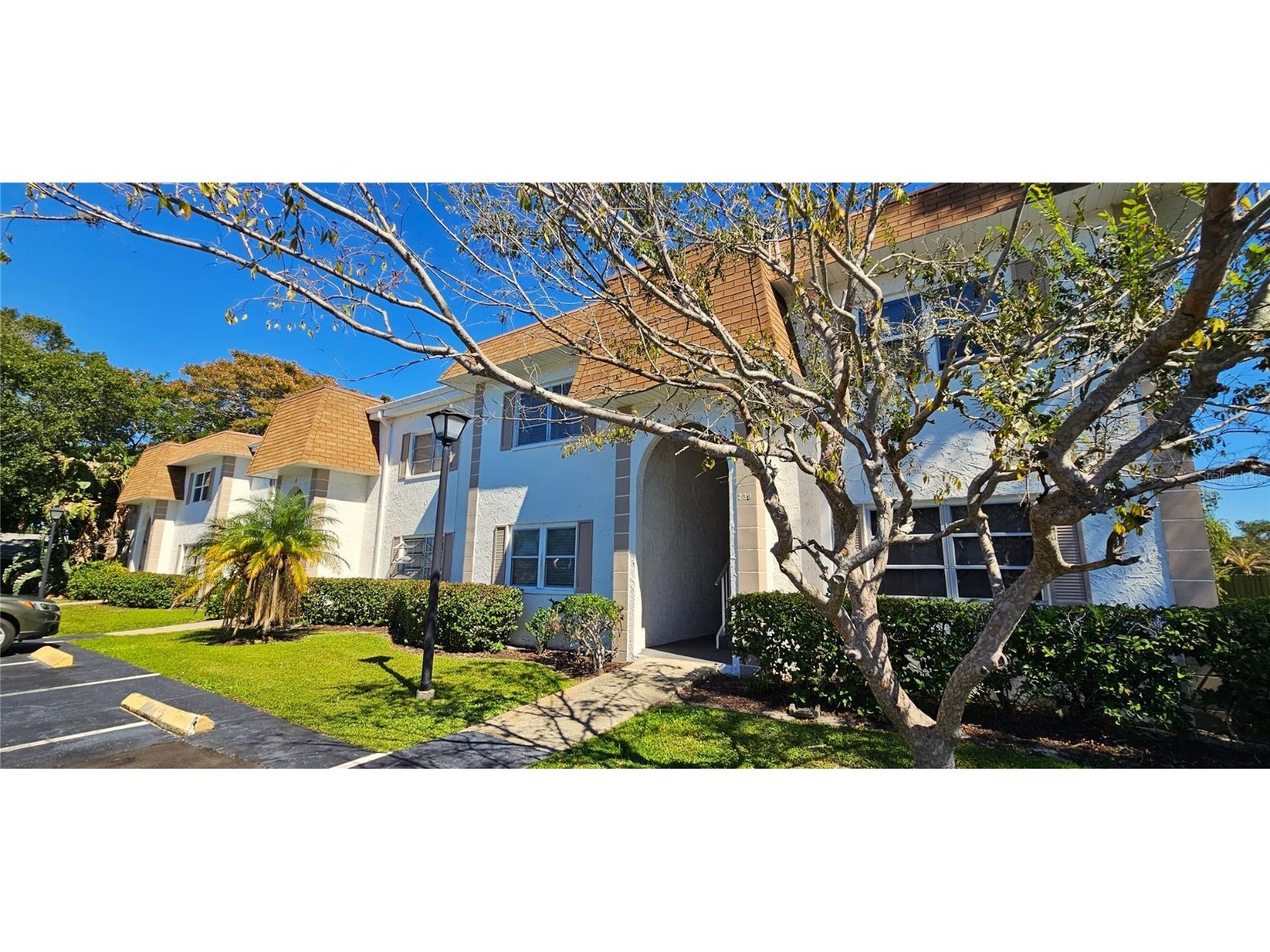 241 S Mcmullen Booth Road #33 Clearwater FL 33759 U8218335 image1