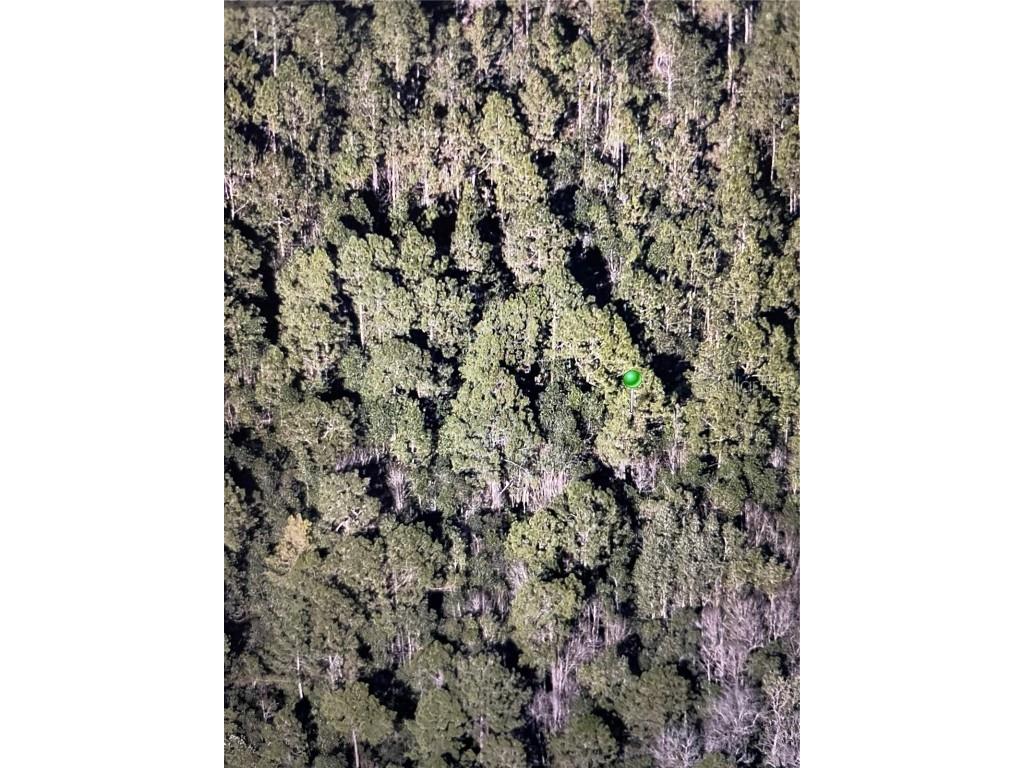 241 Volusian Forest Trail Pierson FL 32180 W7862027 image1