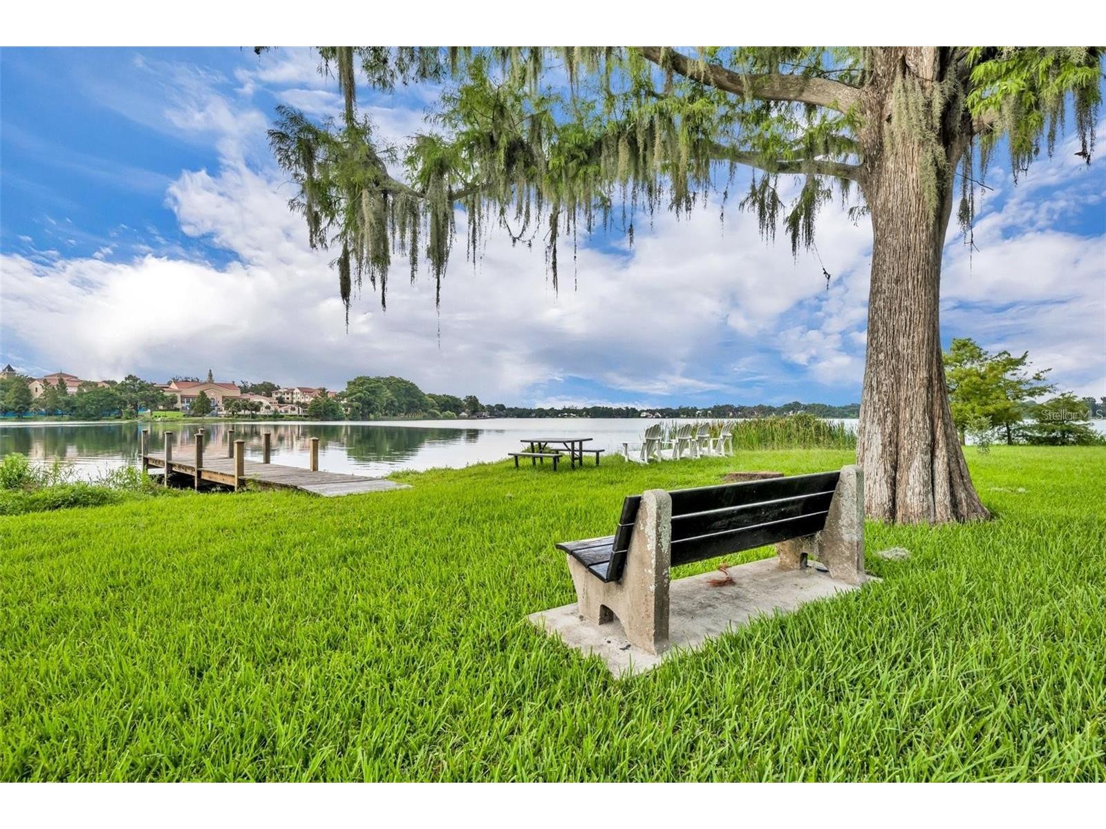 241 W Lake Sue Avenue Winter Park FL 32789 O6411621 image59