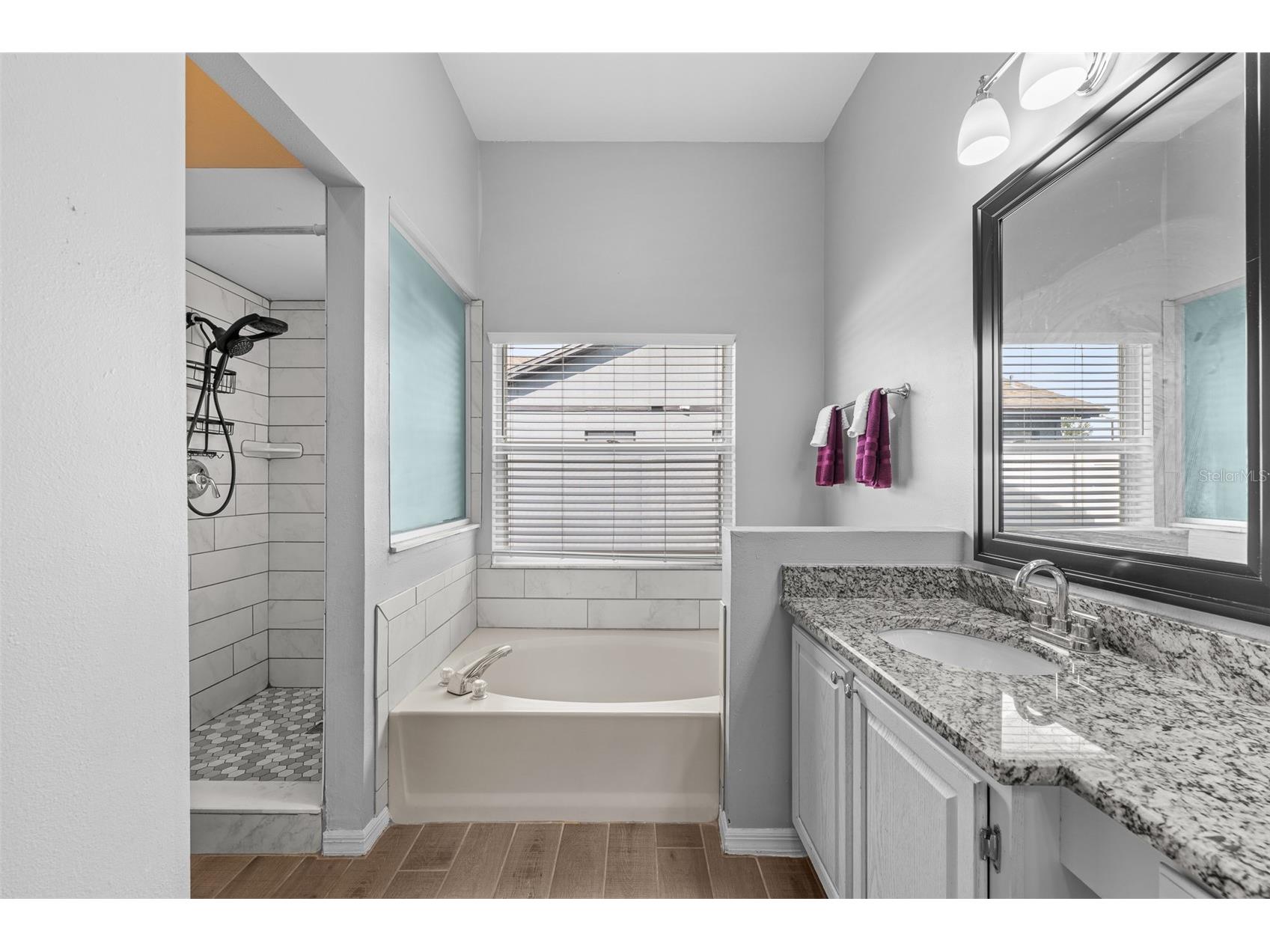 2410 Arborwood Drive Valrico FL 33596 TB8522956 image23