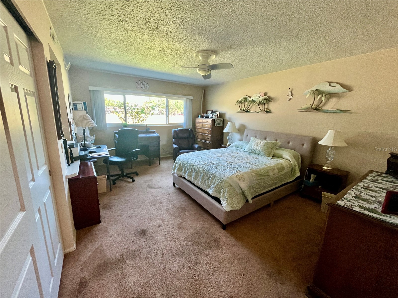 2410 Franciscan Drive #12 Clearwater FL 33763 TB8499677 image22