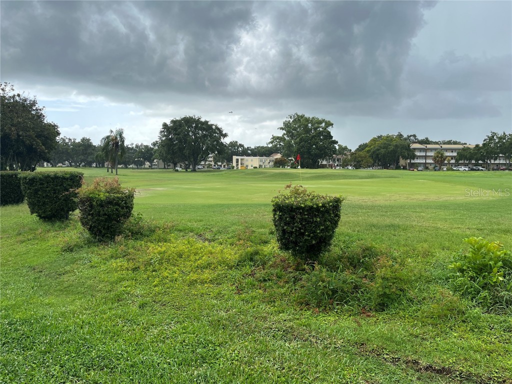 2410 Franciscan Drive #18 Clearwater FL 33763 TB8397547 image29