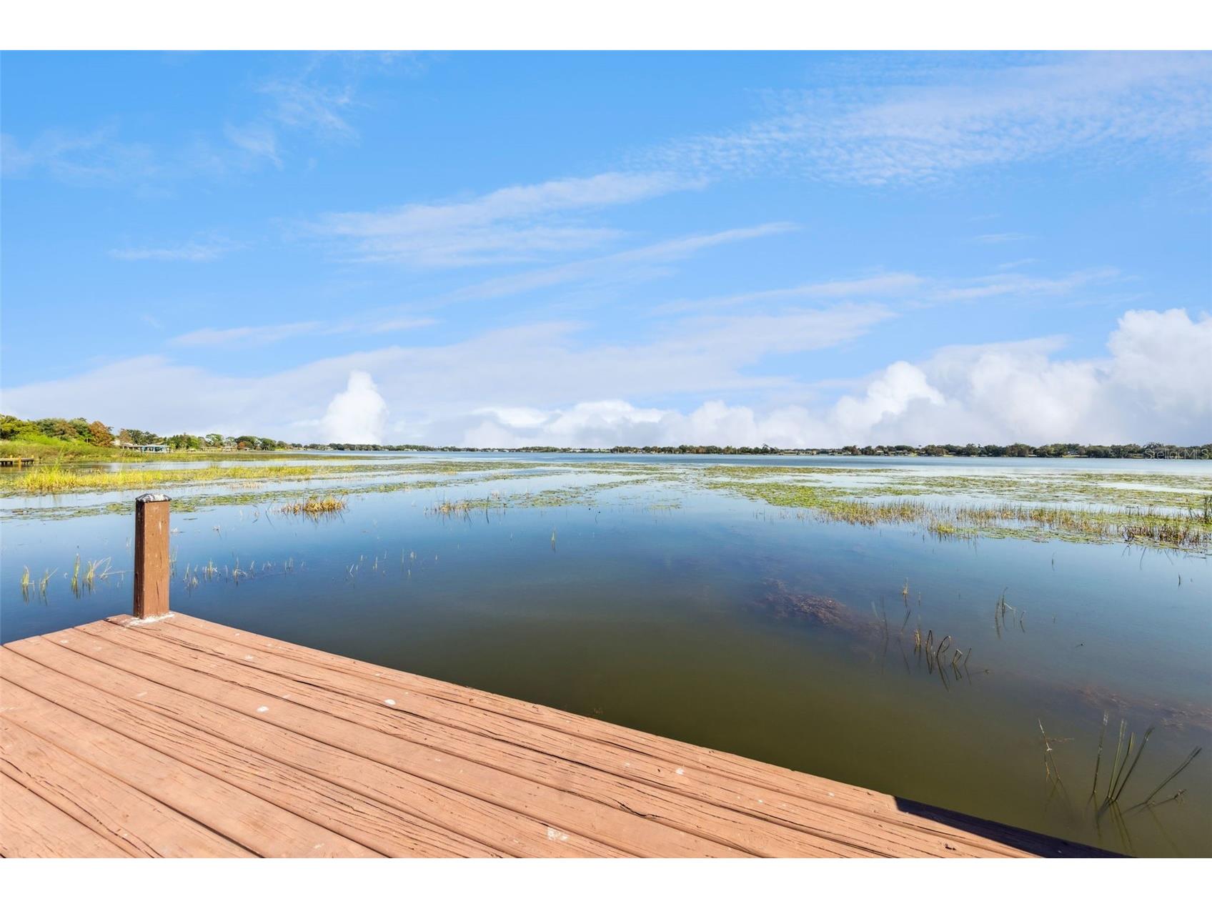 2410 Hartridge Point Drive W Winter Haven FL 33881 - LAKE HARTRIDGE O6378495 image44