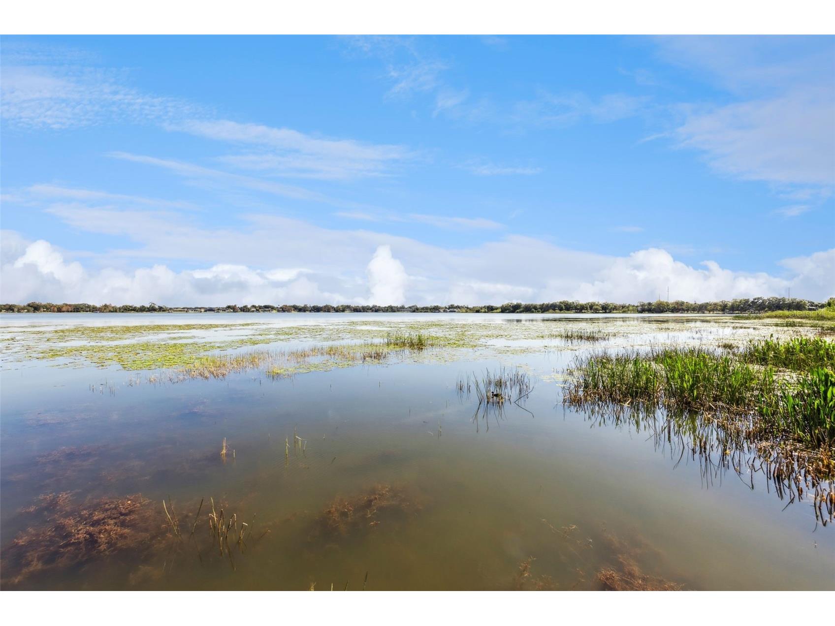 2410 Hartridge Point Drive W Winter Haven FL 33881 - LAKE HARTRIDGE O6378495 image46