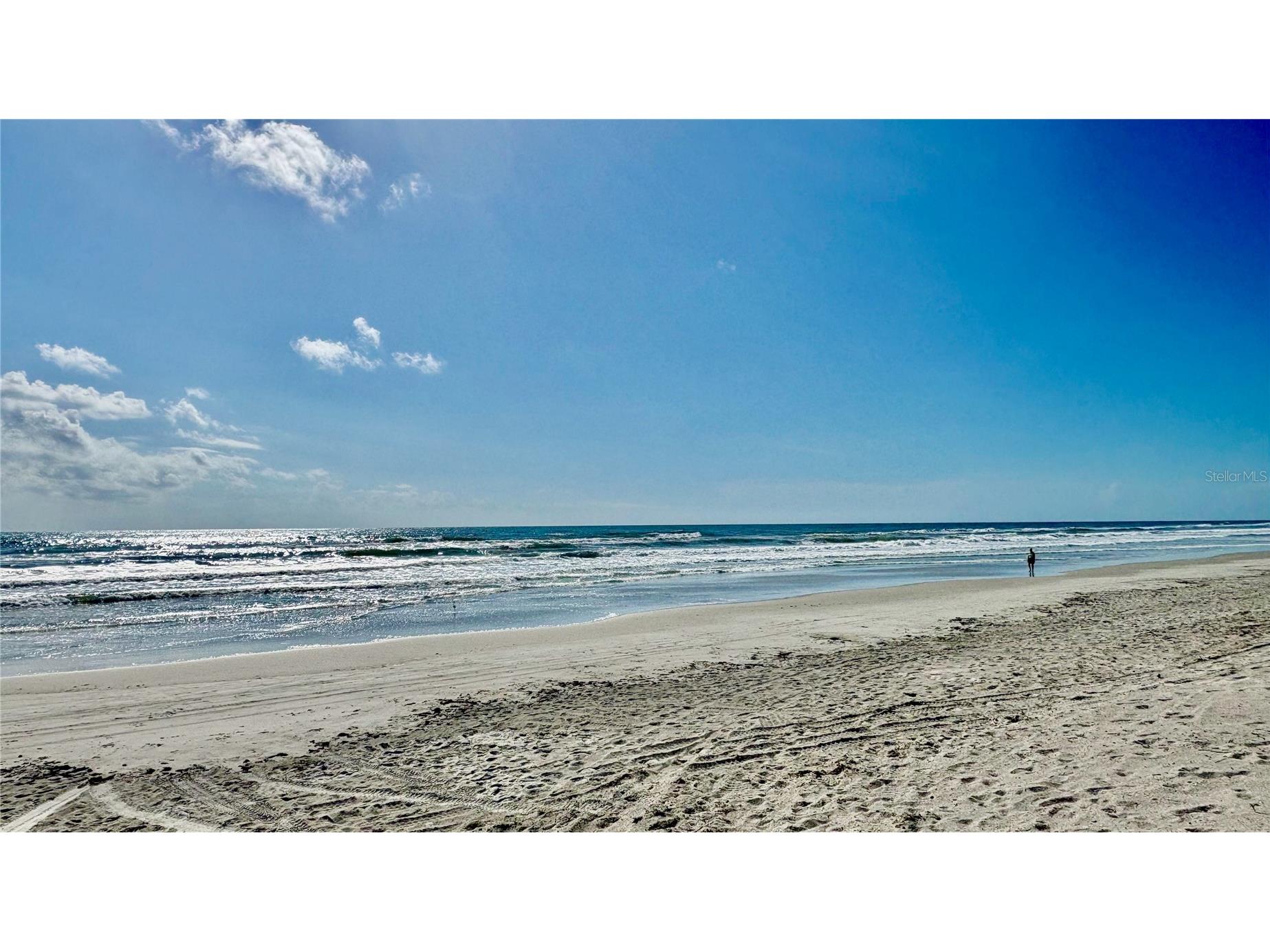 2410 S Atlantic Avenue New Smyrna Beach FL 32169 NS1088633 image3
