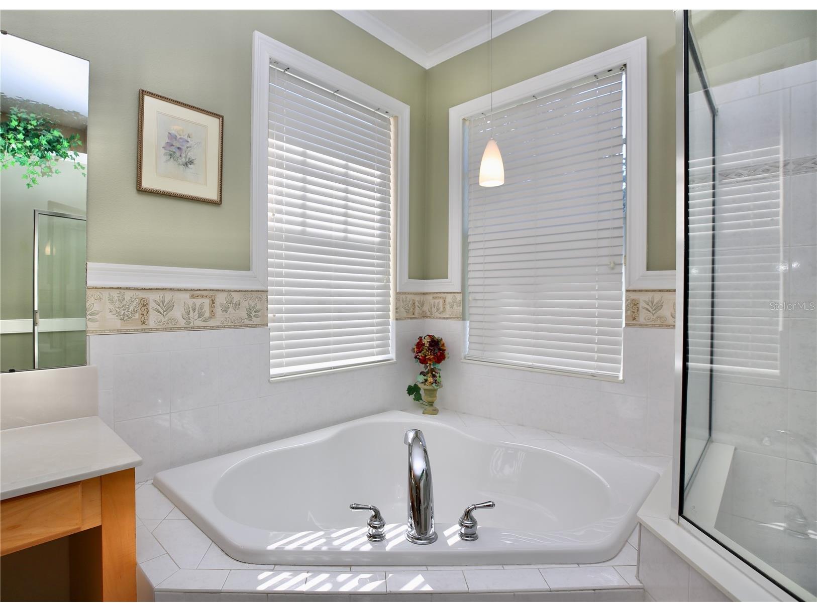 2410 Tea Olive Terrace Valrico FL 33594 TB8492220 image24