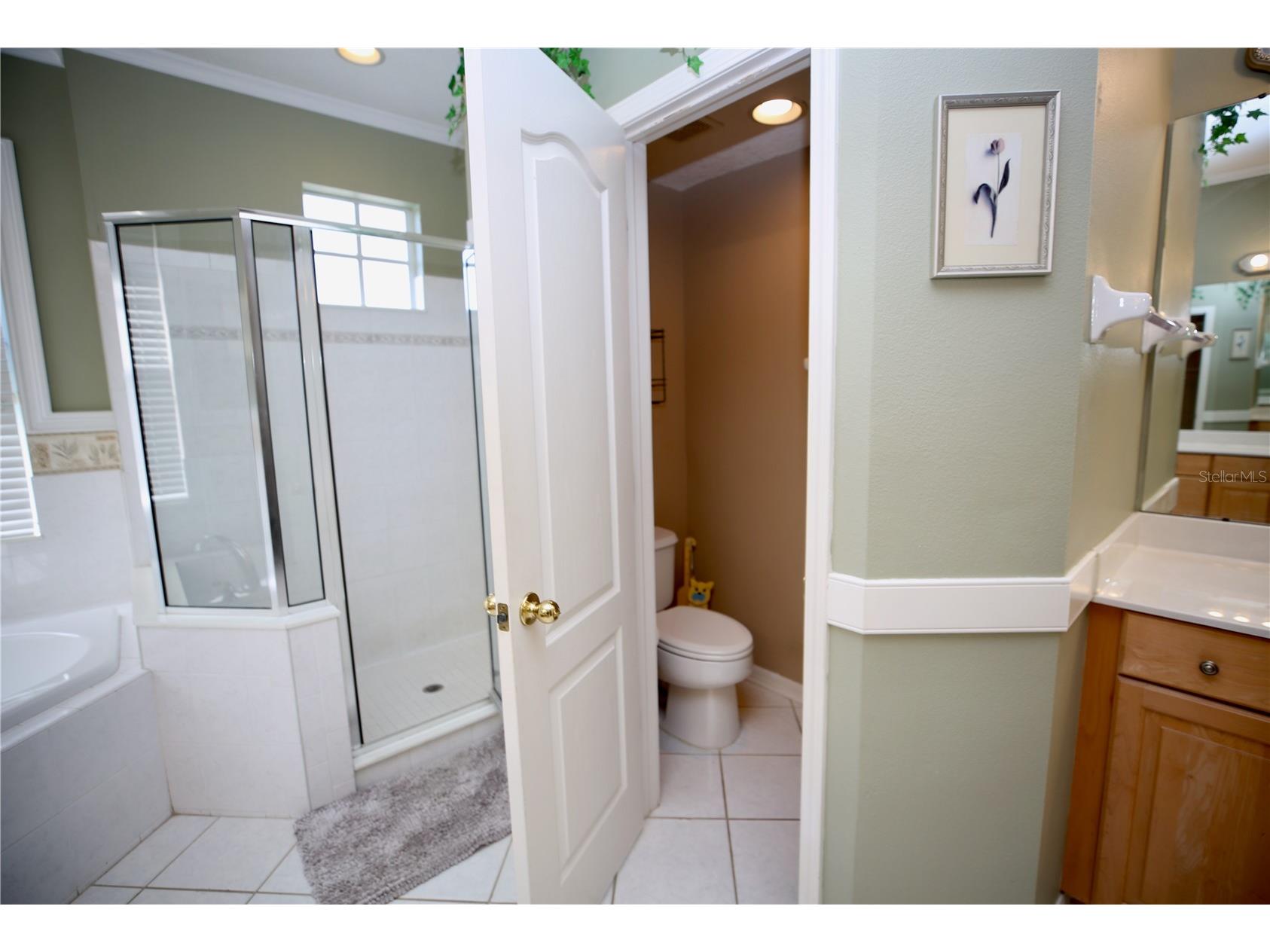2410 Tea Olive Terrace Valrico FL 33594 TB8492220 image25