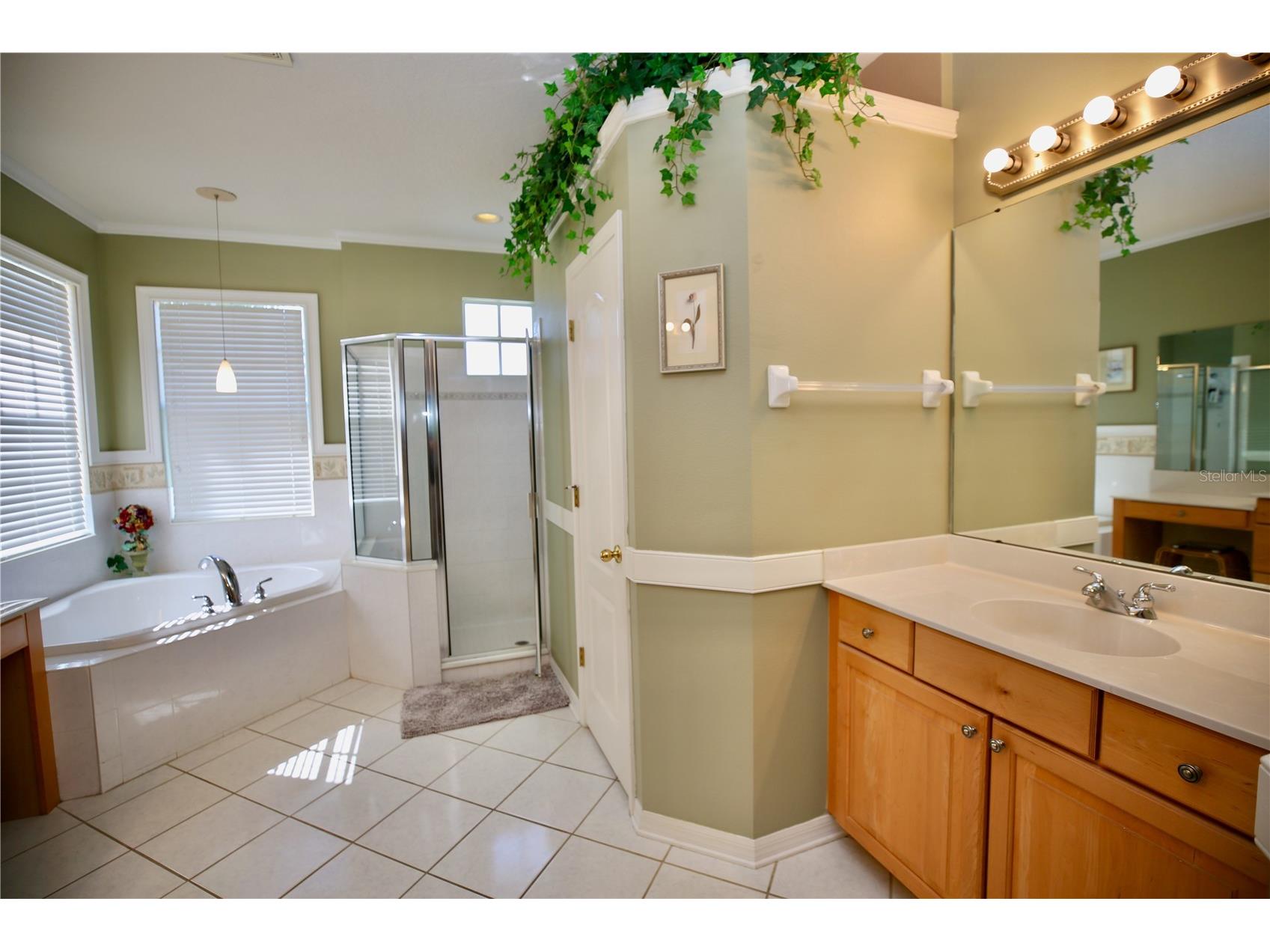 2410 Tea Olive Terrace Valrico FL 33594 TB8492220 image27