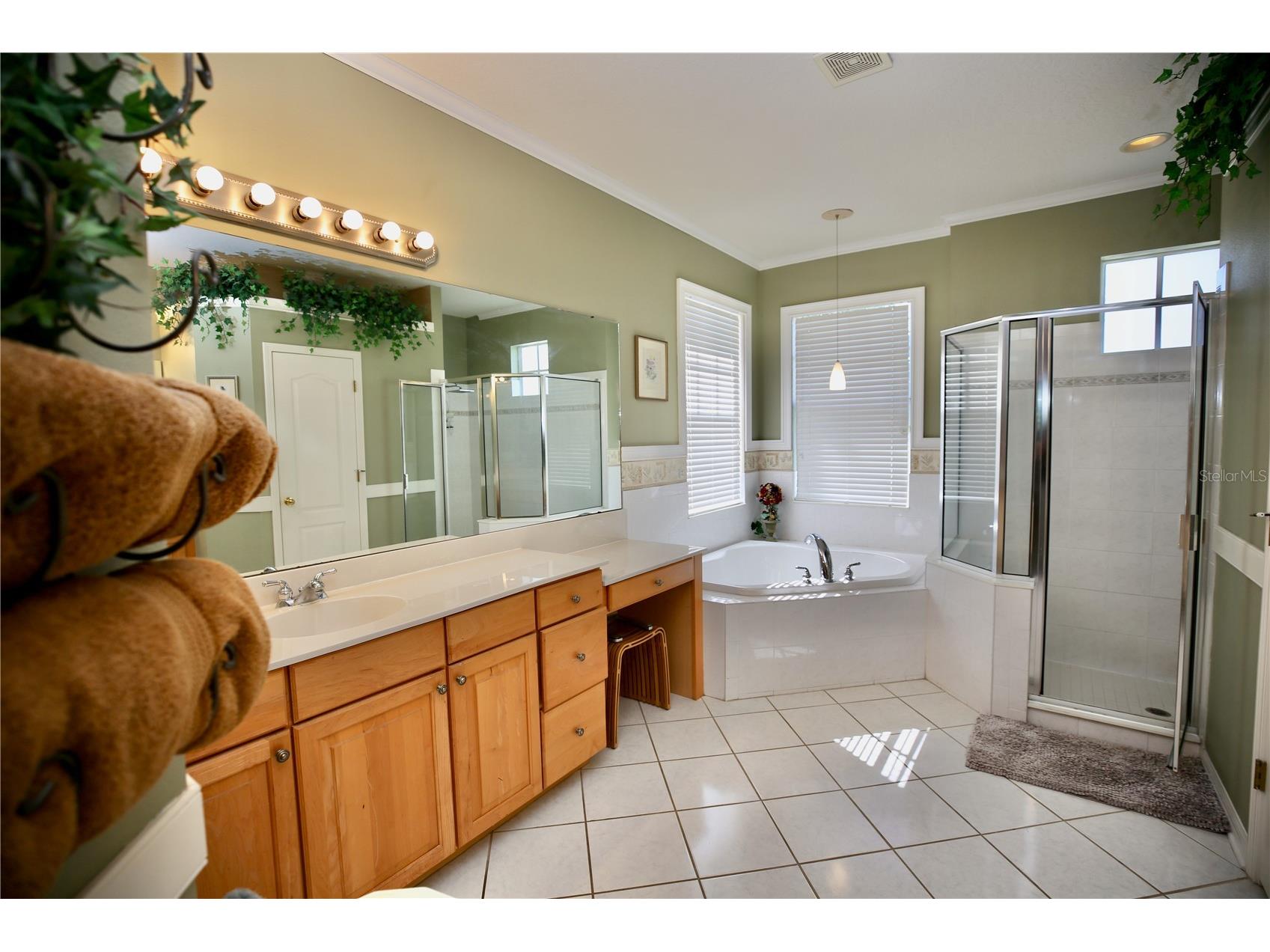 2410 Tea Olive Terrace Valrico FL 33594 TB8492220 image28