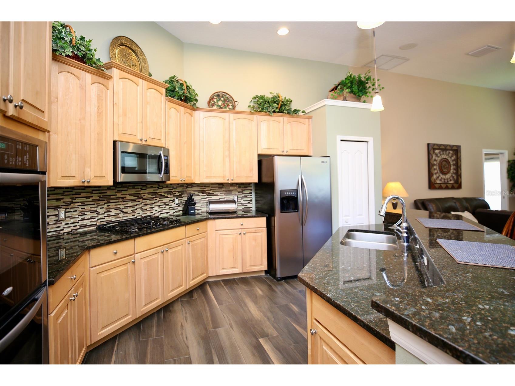2410 Tea Olive Terrace Valrico FL 33594 TB8492220 image29