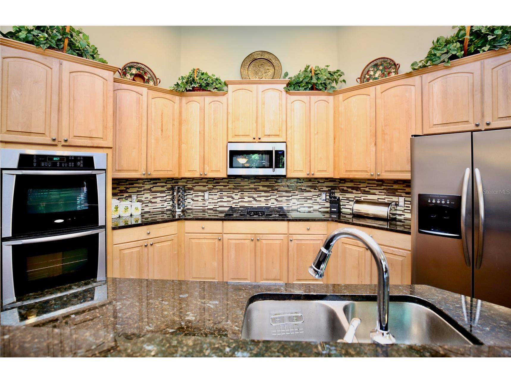 2410 Tea Olive Terrace Valrico FL 33594 TB8492220 image30