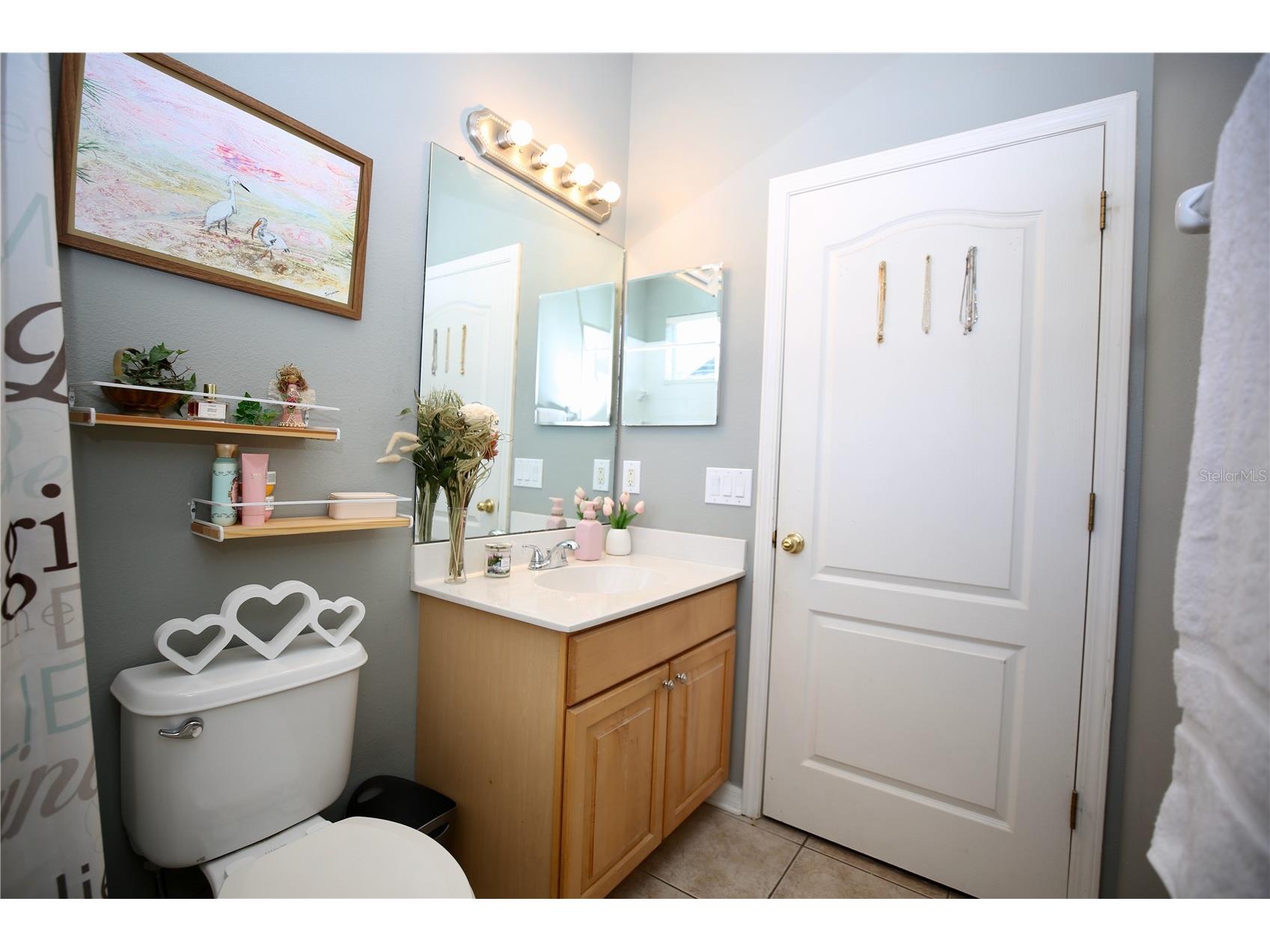 2410 Tea Olive Terrace Valrico FL 33594 TB8492220 image42