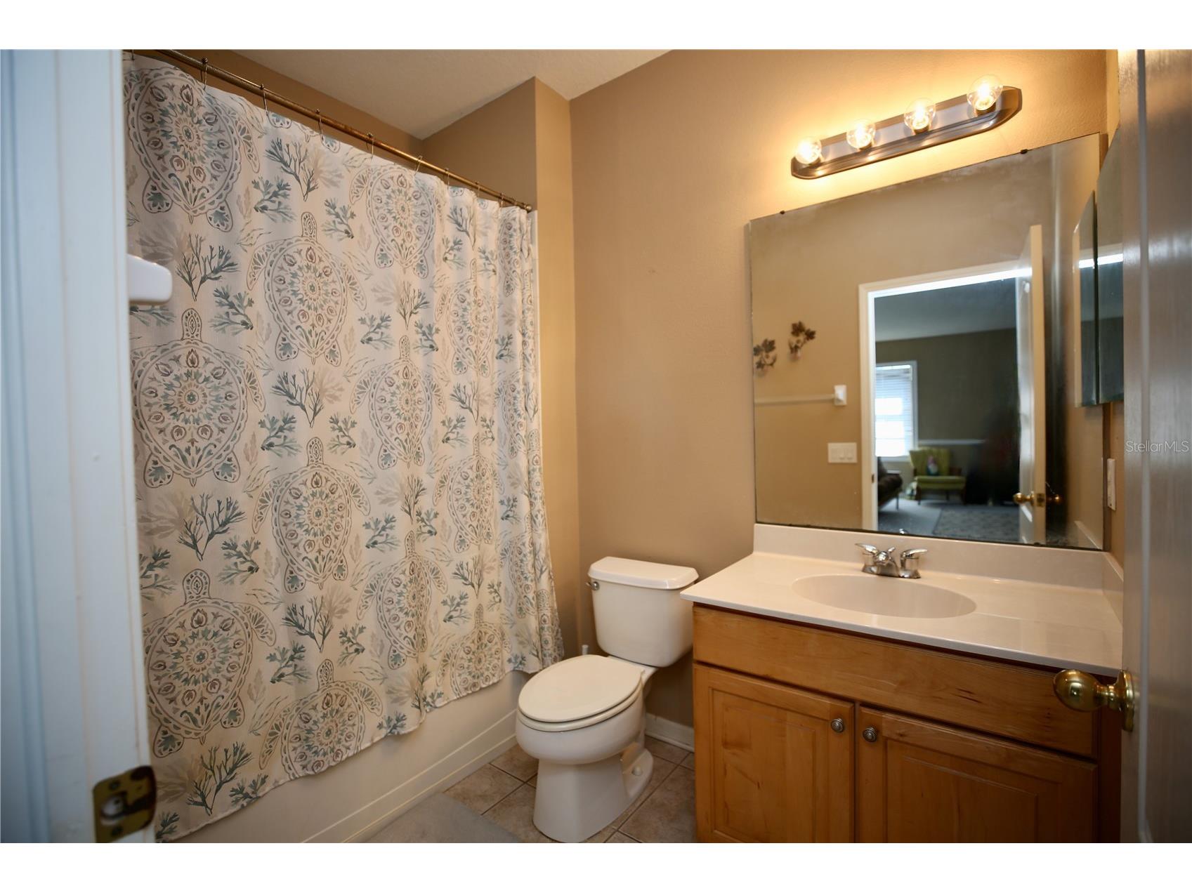 2410 Tea Olive Terrace Valrico FL 33594 TB8492220 image62