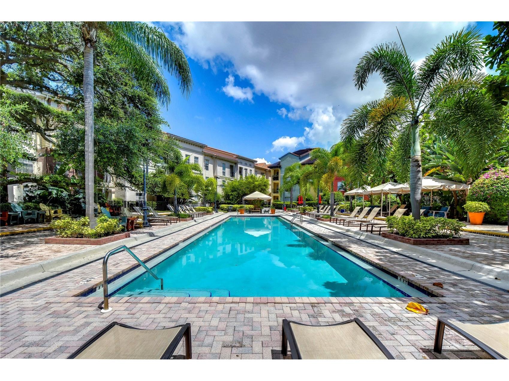 2410 W Azeele Street #234 Tampa FL 33609 TB8487709 image2