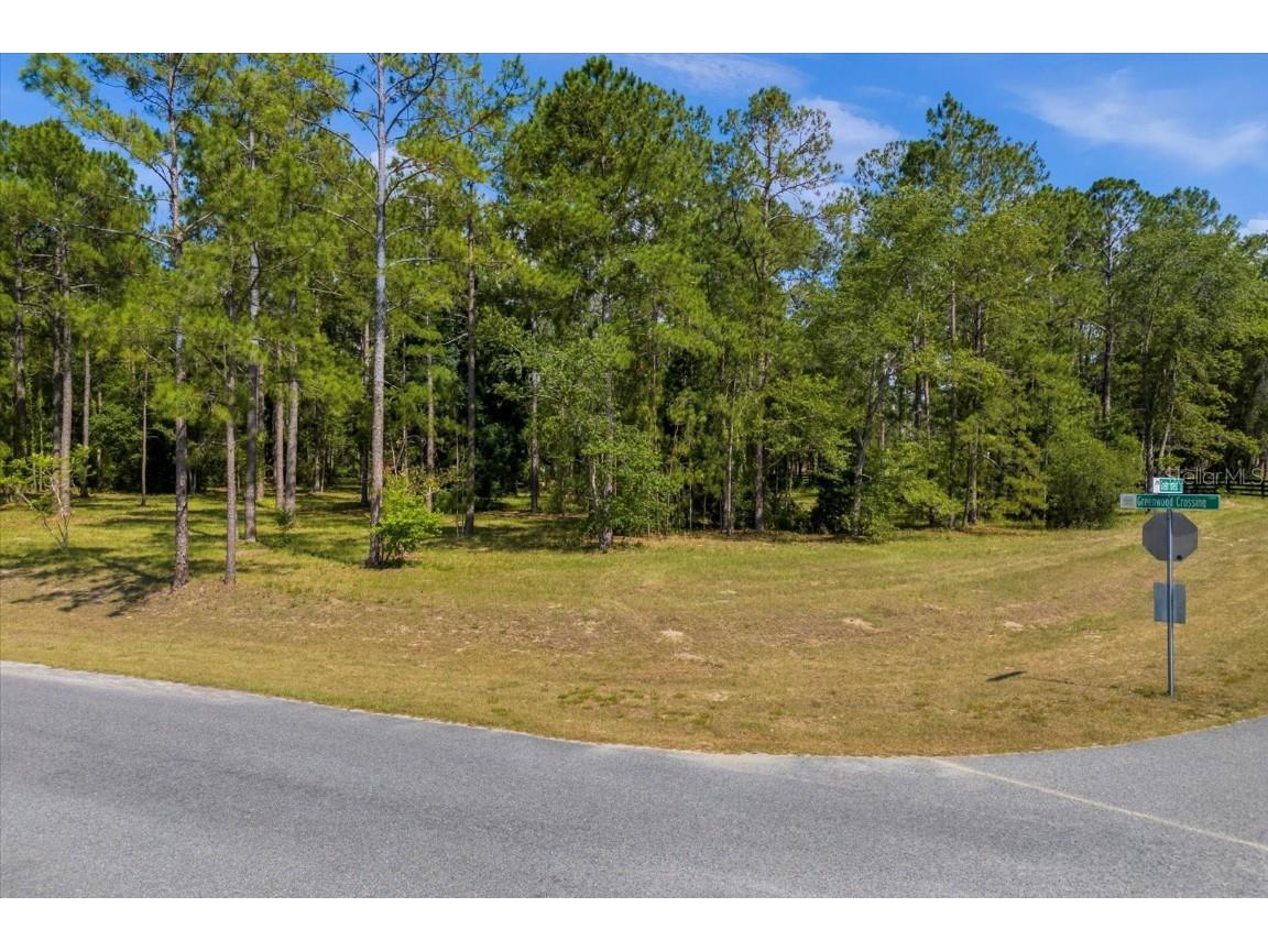 24102 Greenwood Crossing Eustis FL 32736 O6211216 image1