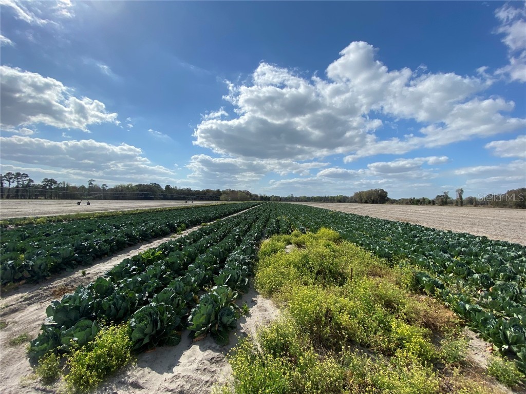 24103 NW County Road 239 Alachua FL 32615 GC502818 image10