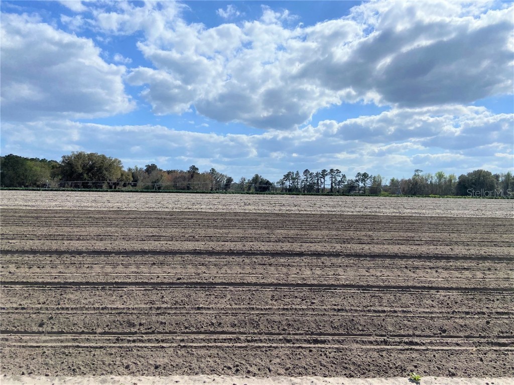 24103 NW County Road 239 Alachua FL 32615 GC502818 image11