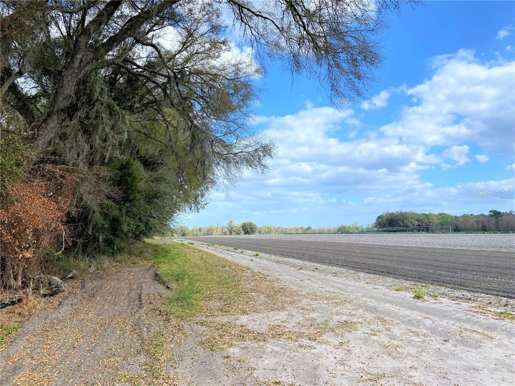 24103 NW County Road 239 Alachua FL 32615 GC502818 image14