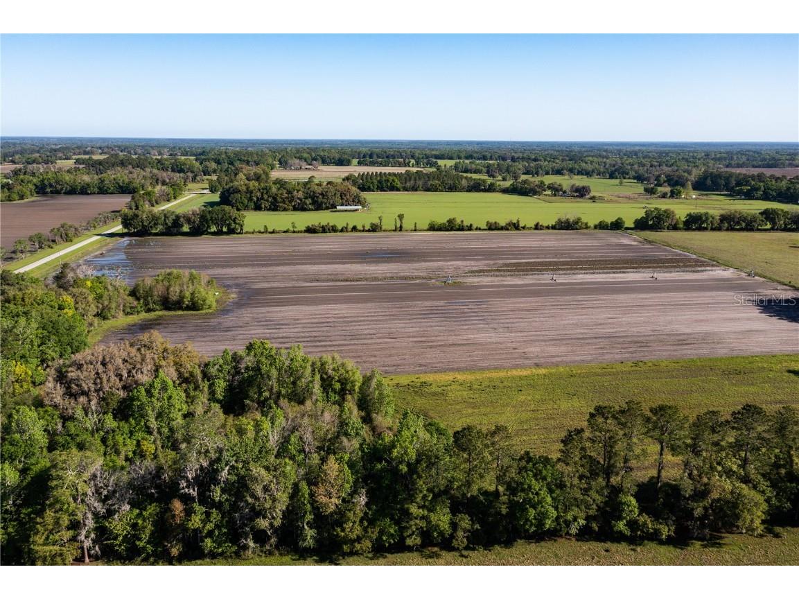 24103 NW County Road 239 Alachua FL 32615 GC502818 image3