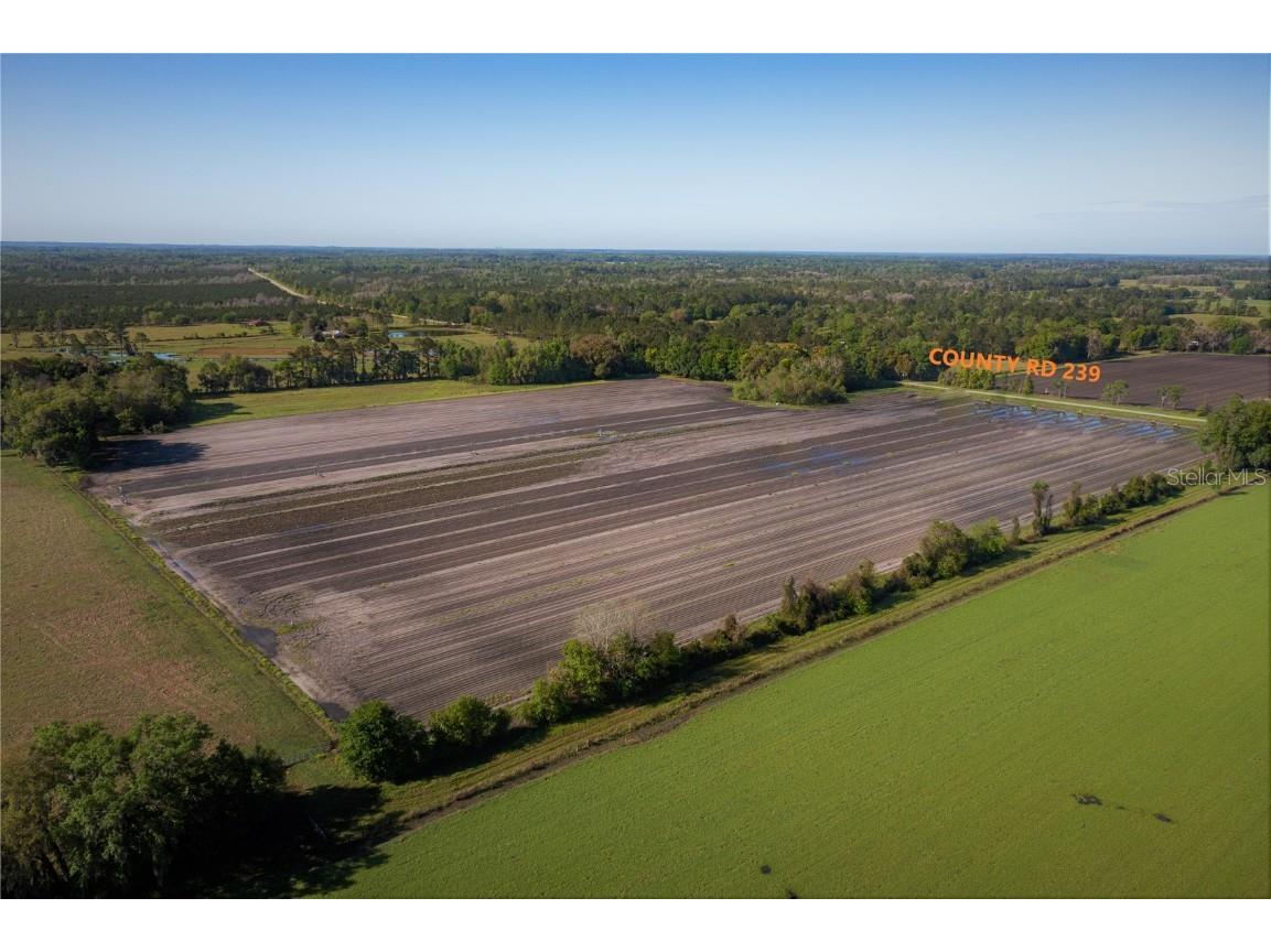 24103 NW County Road 239 Alachua FL 32615 GC502818 image4