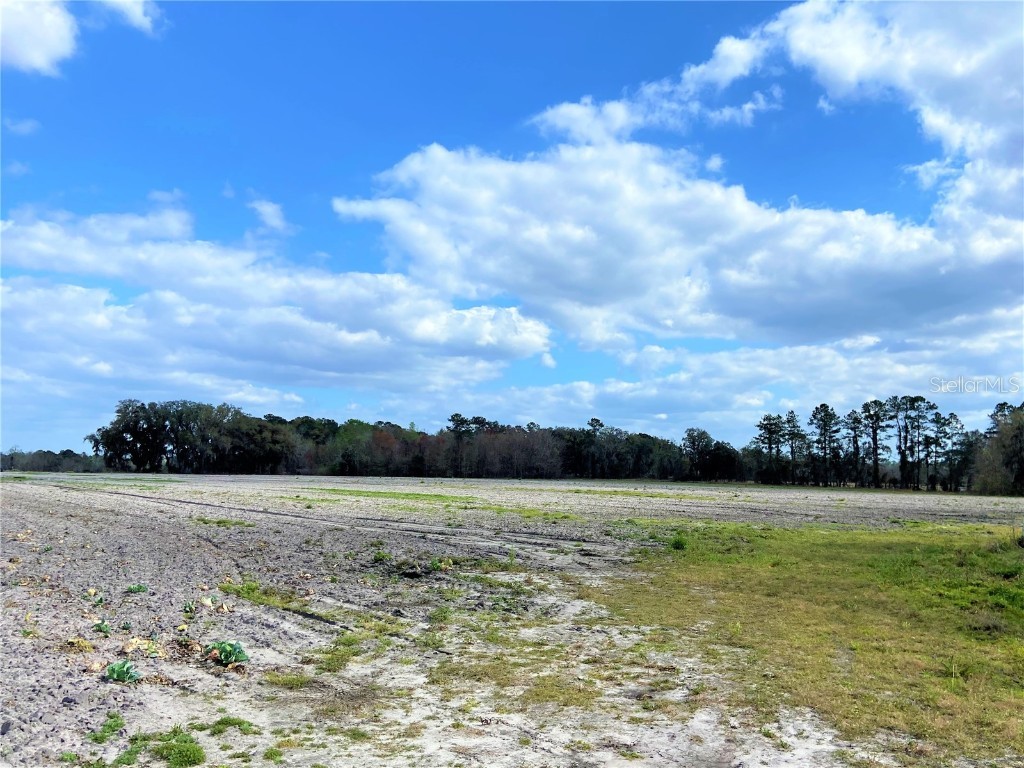 24103 NW County Road 239 Alachua FL 32615 GC502818 image6