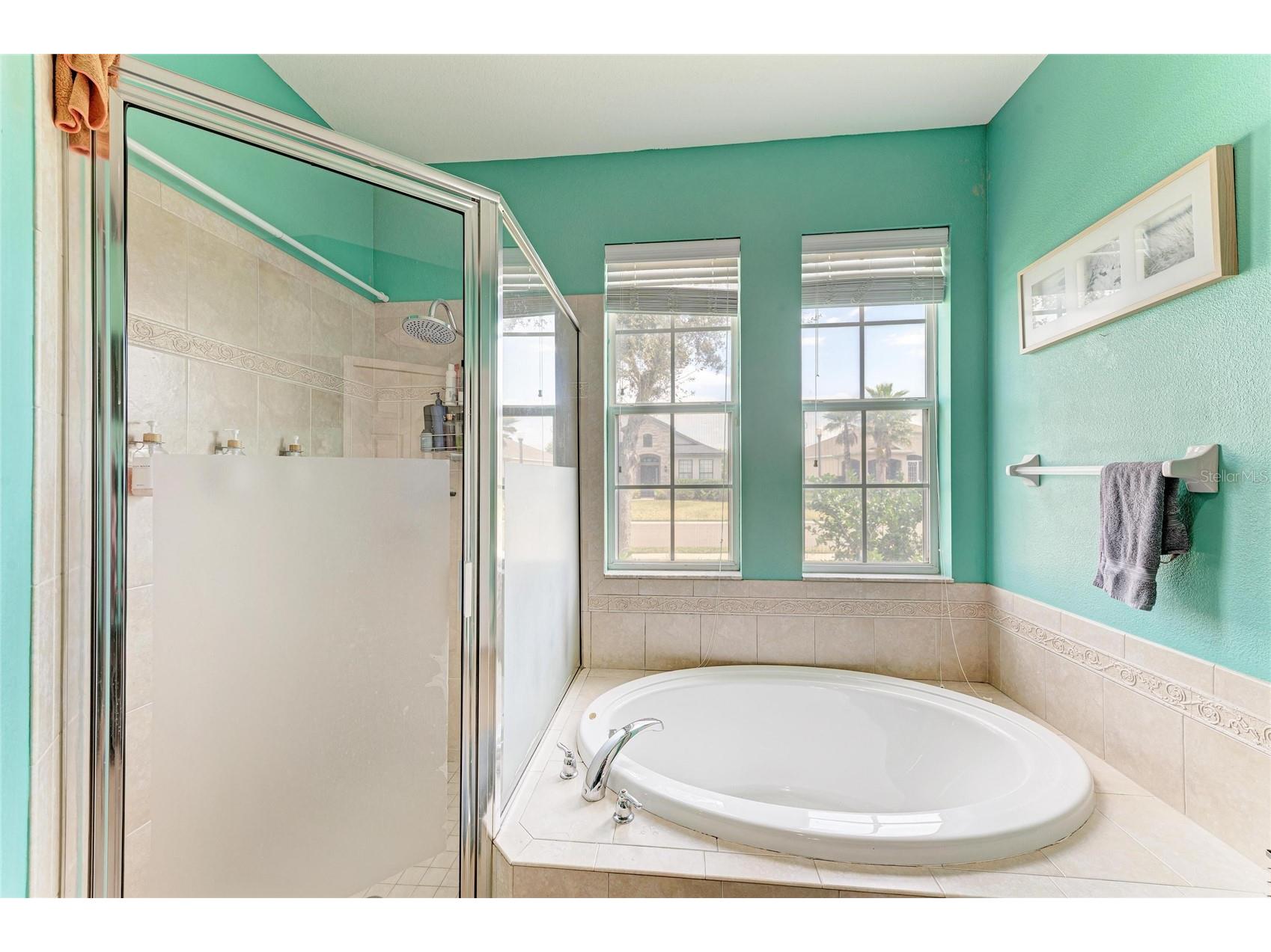 2411 129th Avenue E Parrish FL 34219 A4680315 image29