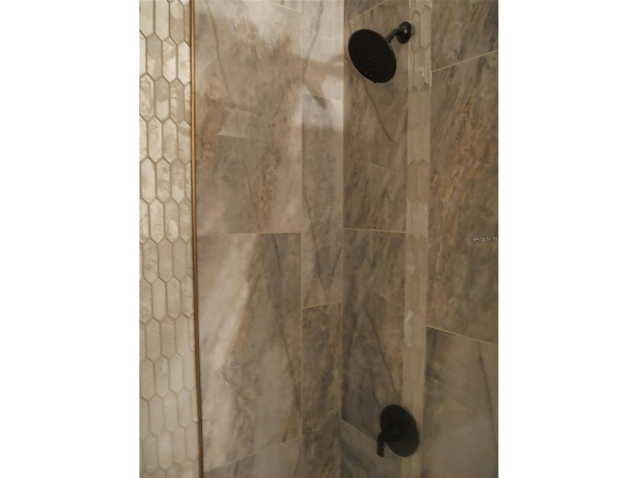 2411 Aspinwall Street #2411 Sarasota FL 34237 A4679740 image13