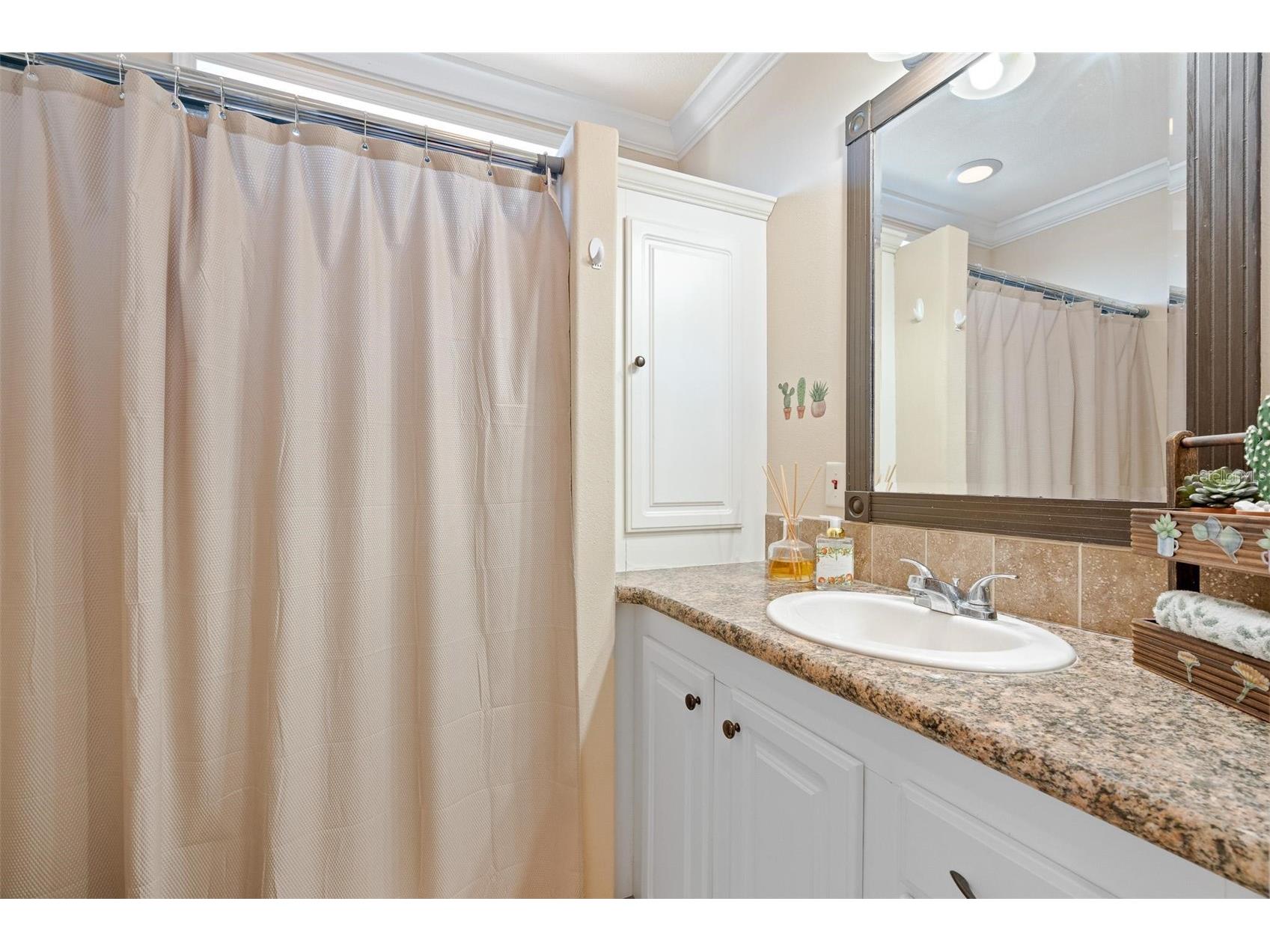 2411 Citrus Tree Road Clermont FL 34714 O6373925 image11