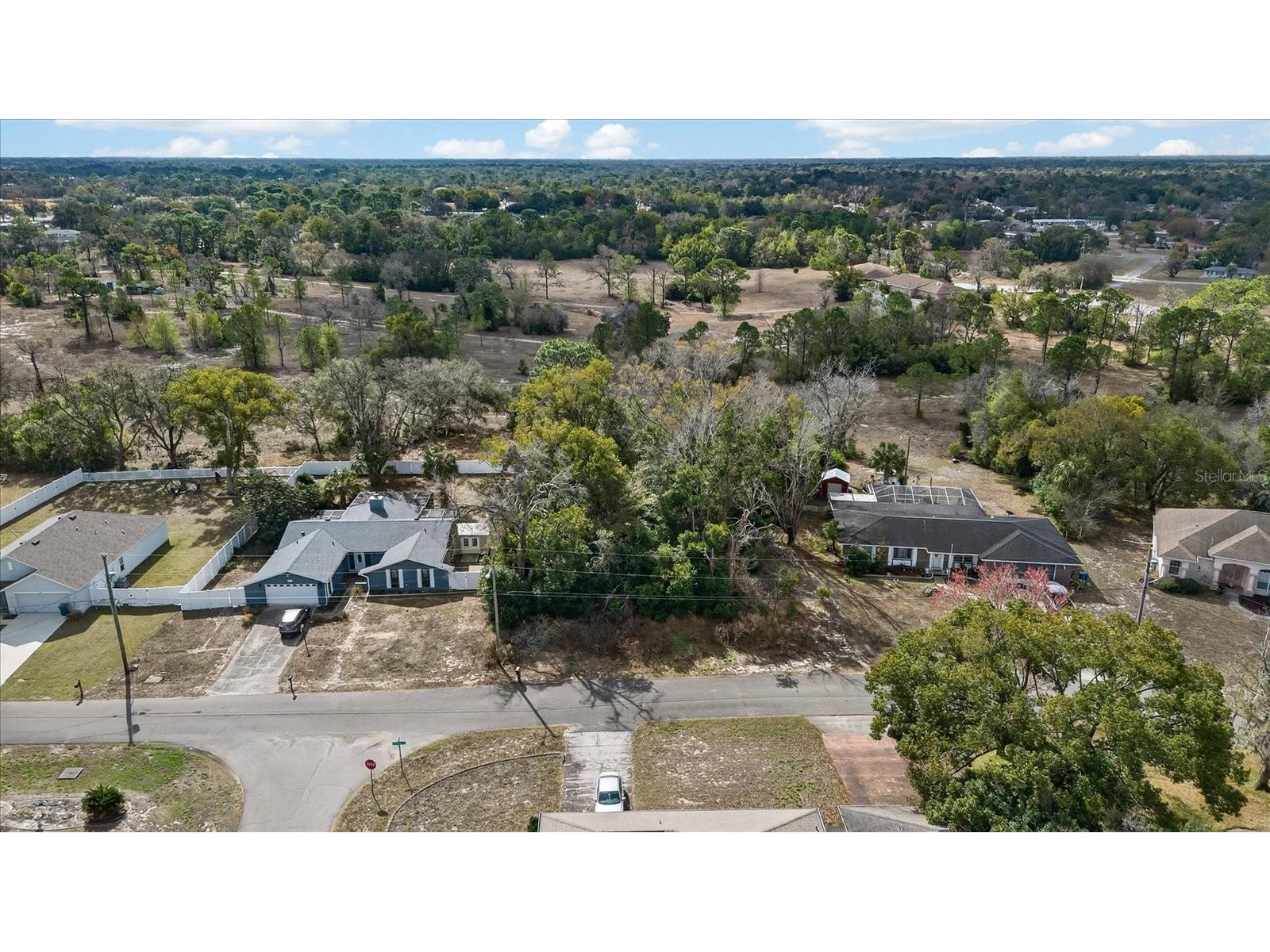 2411 Glenridge Drive Spring Hill FL 34609 W7883130 image1