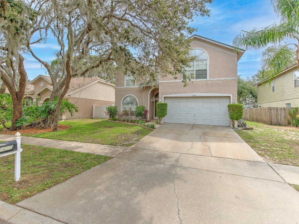 2411 Needham Drive Valrico FL 33596 T3450762 image1