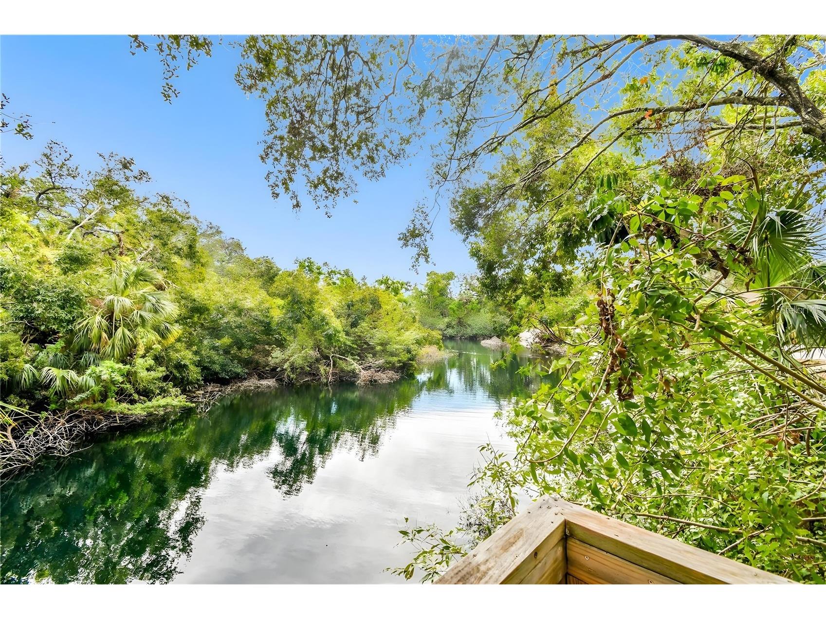 2411 Pheasant Ln Bradenton FL 34209 TB8484895 image50