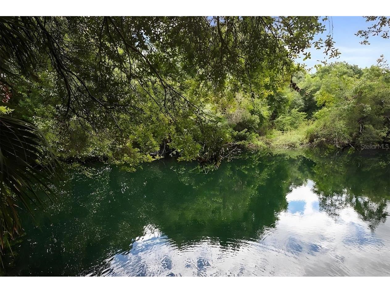 2411 Pheasant Ln Bradenton FL 34209 TB8484895 image51