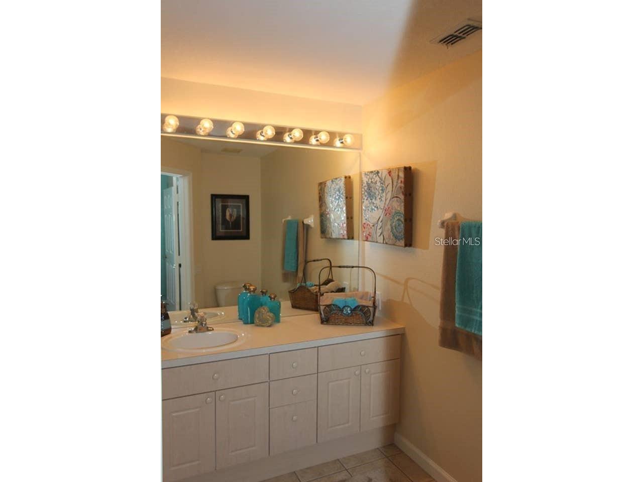 2411 Silver Palm Drive Kissimmee FL 34747 S5151375 image6