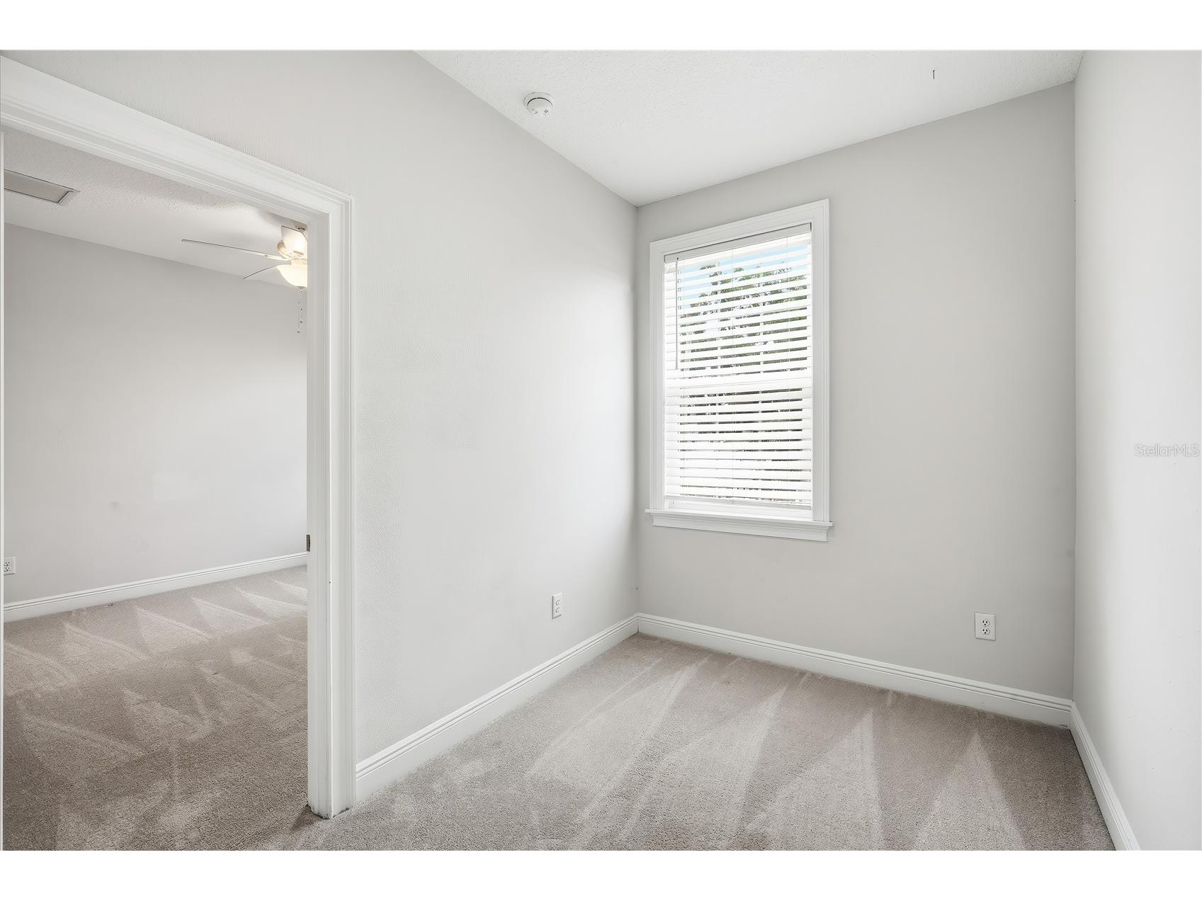 2411 W Fig Street #1 Tampa FL 33609 TB8516693 image11
