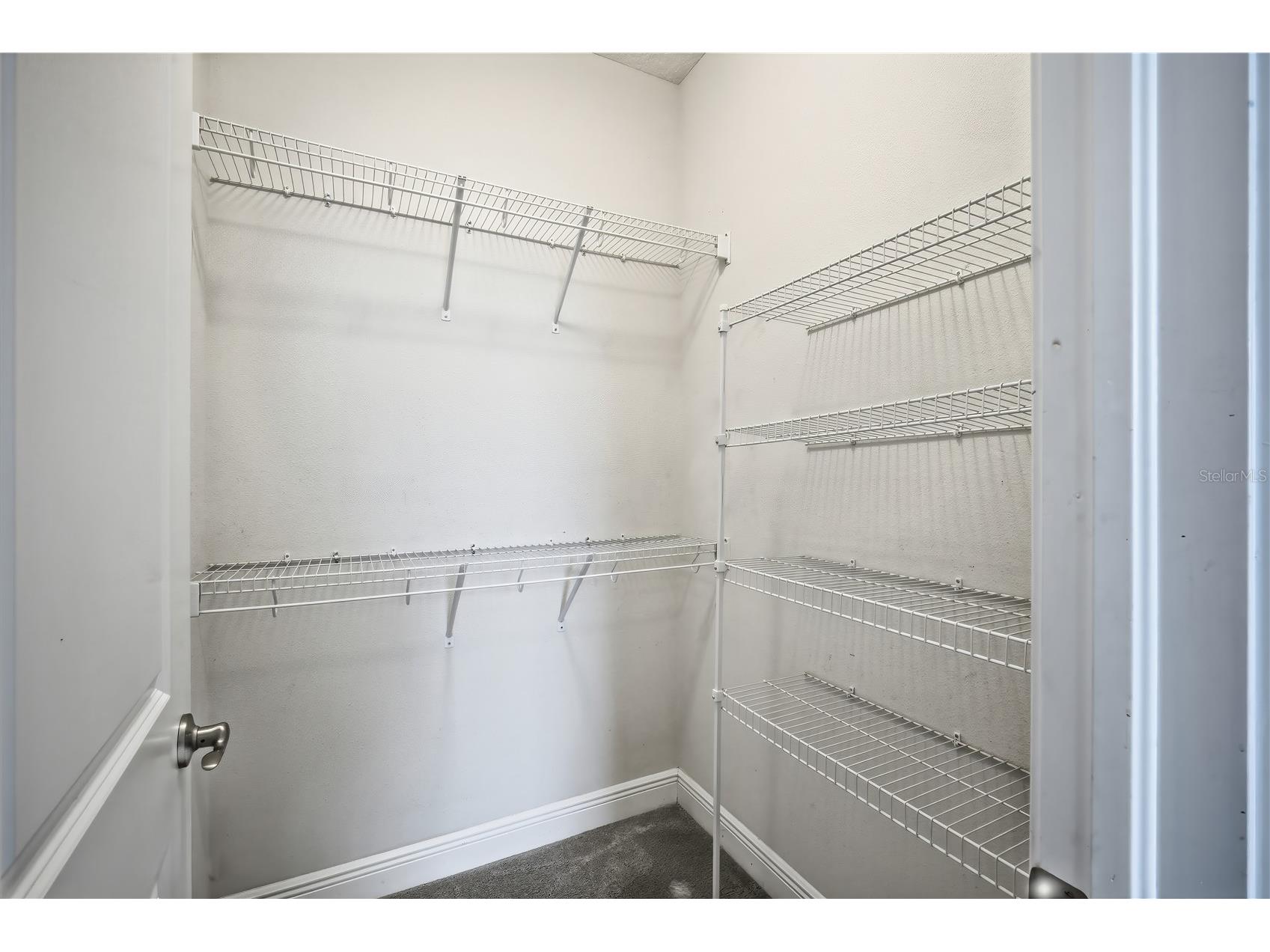 2411 W Fig Street #1 Tampa FL 33609 TB8516693 image13